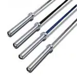 The Sabertooth Bar - Stainless Steel (20kg, 29mm) - Remastered - Image 2