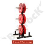 Olympic Vertical Plate Tree - Image 10