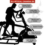 Elliptical Chakra E9 - Image 3