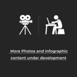 Pectoral Butterfly - Image 3