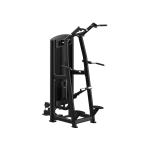 Standing Assisted Chin/Dip